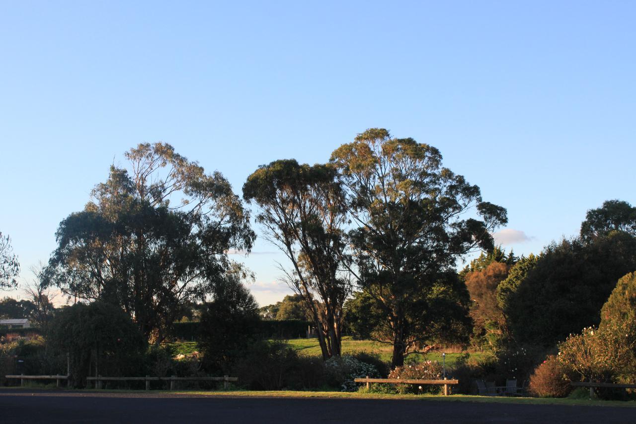 Motel Mt Gambier International Mount Gambier Exterior foto